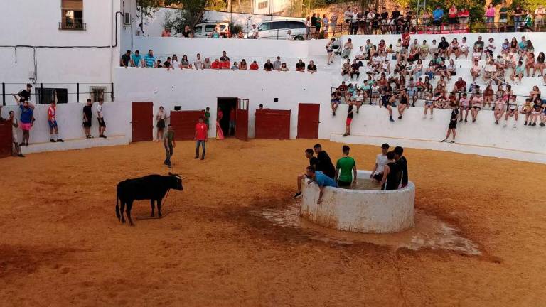 VÍDEO: mejores momentos del último encierro de reses bravas en Benatae VÍDEO: mejores momentos del último encierro de reses bravas en Benatae