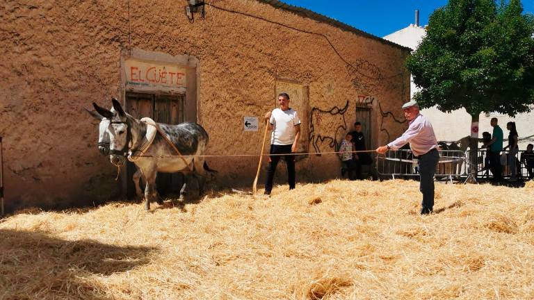 VI Feria de la Trashumancia, este fin de semana, en Santiago-Pontones. ¡No se la pierdan! VI Feria de la Trashumancia, este fin de semana, en Santiago-Pontones. ¡No se la pierdan!