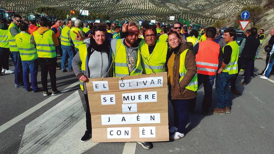 <i><b>2020.</b></i><i> Mal presente, peor futuro olivarero.</i> $!<i><b>2020.</b></i><i> Mal presente, peor futuro olivarero.</i>