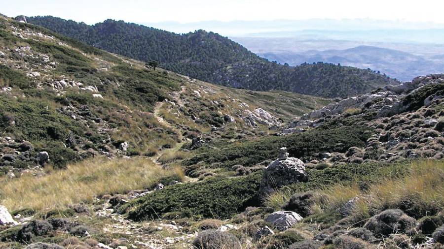Miramundos, una atracción que no deja de ganar visitas Miramundos, una atracción que no deja de ganar visitas