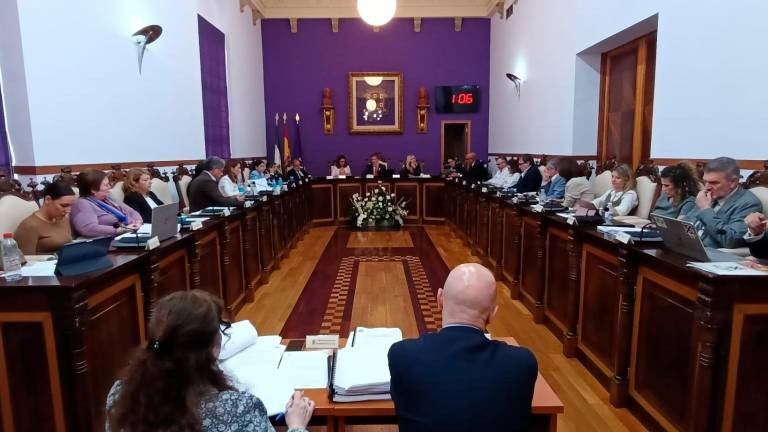 Unanimidad total del pleno por el “No” a la planta de Las Infantas Unanimidad total del pleno por el “No” a la planta de Las Infantas