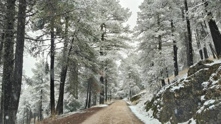 La principal nevada desde el otoño en la Sierra de Cazorla La principal nevada desde el otoño en la Sierra de Cazorla