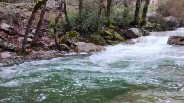 El Guadalquivir coge brío con las últimas lluvias El Guadalquivir coge brío con las últimas lluvias
