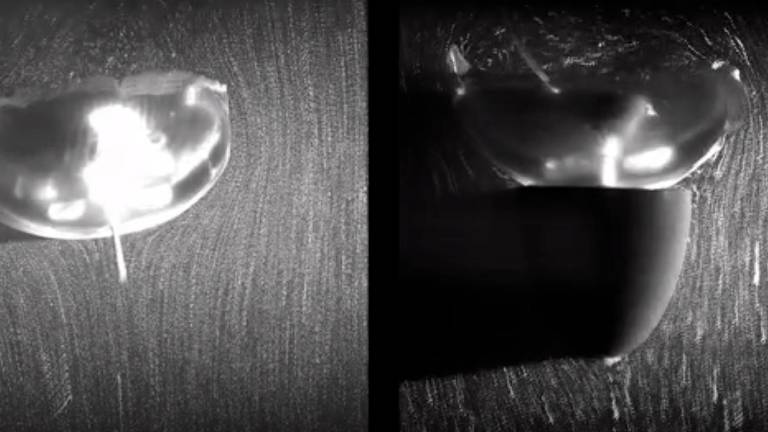¿Son medusas o robots oceánicos? ¿Son medusas o robots oceánicos?