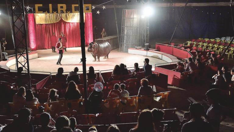 Denuncian el robo de 12.000 euros en el circo de la feria Denuncian el robo de 12.000 euros en el circo de la feria