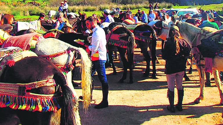 En mula hasta el santuario En mula hasta el santuario