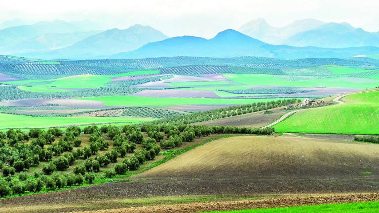 Jaén encuentra 64,5 millones de euros que no esperaba Jaén encuentra 64,5 millones de euros que no esperaba