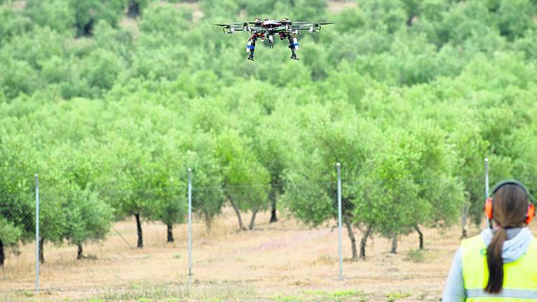 Jaén sueña con drones