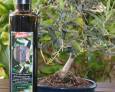 Apuesta por la calidad del aceite con la del “biodinámico” Apuesta por la calidad del aceite con la del “biodinámico”