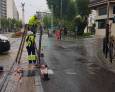 Choca contra un semáforo y huye de la Policía Local Choca contra un semáforo y huye de la Policía Local