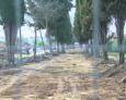 Las obras del camino del cementerio están ya al 70% Las obras del camino del cementerio están ya al 70%