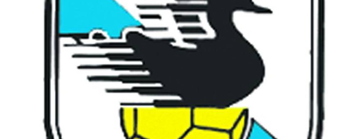 Empate amarillo que casi vale la Copa Empate amarillo que casi vale la Copa