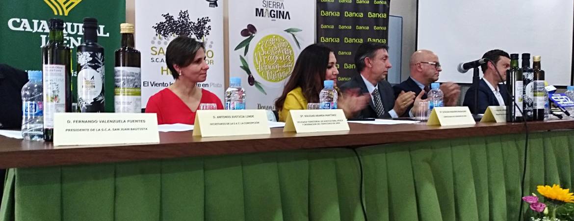 Celebración para presumir de la cultura oleícola de Sierra Mágina Celebración para presumir de la cultura oleícola de Sierra Mágina