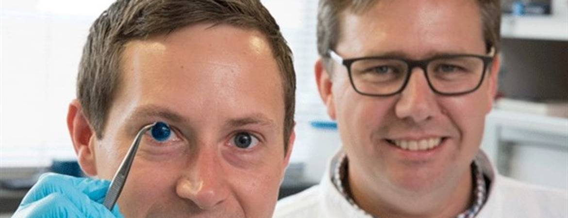 Científicos británicos crean córneas en 3D que podrían ayudar a millones de personas Científicos británicos crean córneas en 3D que podrían ayudar a millones de personas