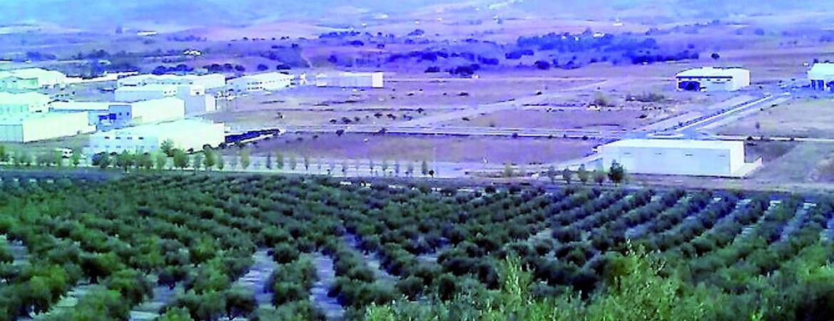 Nueva venta de parcelas en el Llano de Mazuelos Nueva venta de parcelas en el Llano de Mazuelos