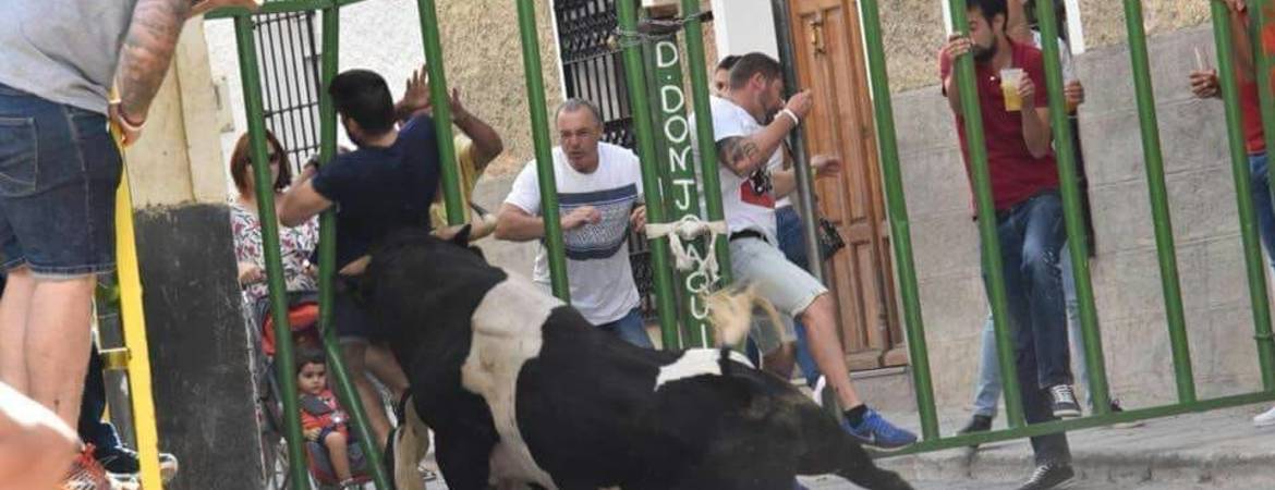 Las reses bravas de reclamo Las reses bravas de reclamo