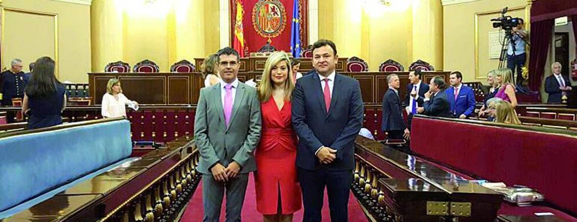 Tareas de diputados y senadores del PSOE Tareas de diputados y senadores del PSOE