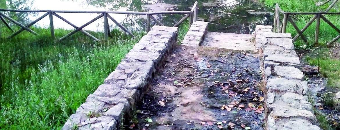 Medio Ambiente se involucra para intervenir en Fuenmayor Medio Ambiente se involucra para intervenir en Fuenmayor
