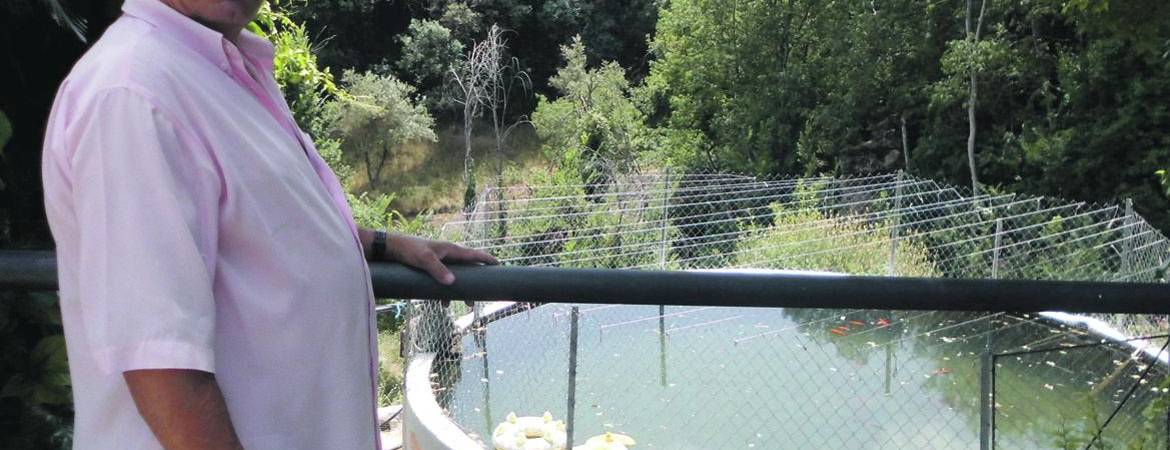 Denuncia en La Pedriza por el “envenenamiento” de 80 peces Denuncia en La Pedriza por el “envenenamiento” de 80 peces