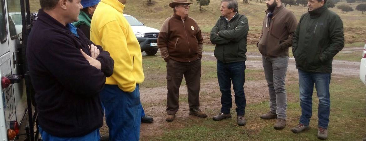 Mejora del hábitat del lince en Aldeaquemada Mejora del hábitat del lince en Aldeaquemada