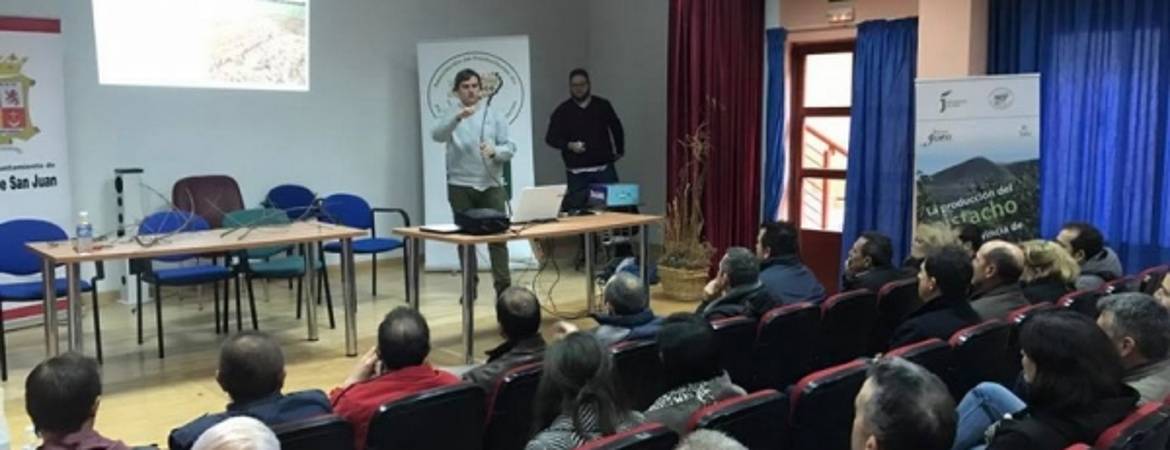 Un nuevo cultivo para potenciar por toda Europa Un nuevo cultivo para potenciar por toda Europa