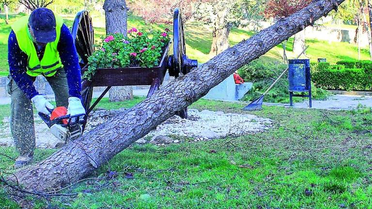 Un vendaval “embiste” la ciudad Un vendaval “embiste” la ciudad