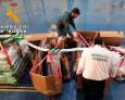 Intervenida una tonelada de pescado no apto para consumo en Guarromán Intervenida una tonelada de pescado no apto para consumo en Guarromán