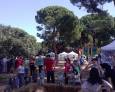SEVILLA. Turismo activo en Bollullos de la Mitación SEVILLA. Turismo activo en Bollullos de la Mitación