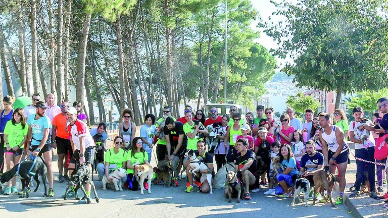 Éxito de participación de corredores y perros en el Canicross “Ciudad de la Peña”
