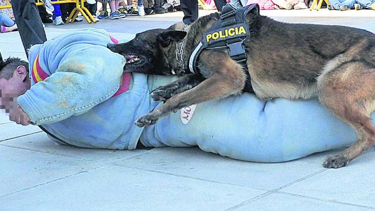 Jaén se “blinda” en silencio ante la amenaza yihadista Jaén se “blinda” en silencio ante la amenaza yihadista
