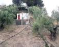 El Puente de la Sierra se queda de nuevo sin suministro de agua El Puente de la Sierra se queda de nuevo sin suministro de agua