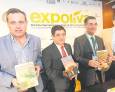 Un libro que radiografía el cultivo del olivar mundial Un libro que radiografía el cultivo del olivar mundial