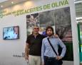 Sustainolive, por un olivar más sostenible Sustainolive, por un olivar más sostenible