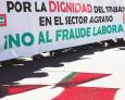 Sindicatos reclaman dignidad para todo el empleo agrario Sindicatos reclaman dignidad para todo el empleo agrario