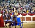 El Festival de Teatro y el Circo Romano vuelven a escena El Festival de Teatro y el Circo Romano vuelven a escena