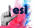 Las siete “estrellas” de la edición 34 Las siete “estrellas” de la edición 34