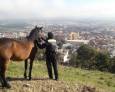 Intervención con un caballo Intervención con un caballo