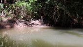 VERTIDO. Tubería que arroja aguas residuales de Villacarrillo en el río Aguascebas, a su paso por Mogón.