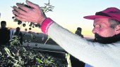 COSECHA. Un agricultor coge un puñado de aceituna en una imagen de la pasada campaña agrícola.