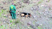 BÚSQUEDA. Un guardia civil junto con uno de los perros de la unidad canina, durante la búsqueda.