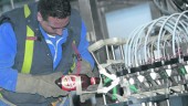 FABRICACIÓN. Un operario trabaja con una botella de Cruzcampo en la fábrica de Jaén en una imagen de archivo.