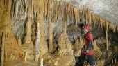 ESTUDIO. El Grupo de Espeleología de Villacarrillo inspecciona una cueva.