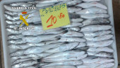 La Guardia Civil interviene 100 kilos de pescado inmaduro. 