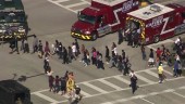 Al menos 17 muertos y 15 heridos en un tiroteo en un instituto en Florida (EEUU).