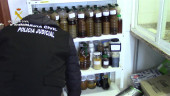 INVESTIGACIÓN. Un guardia civil inspecciona alguna de las muestras recogidas en la refinería de Mengíbar.