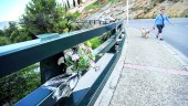 EN 2014. Ramo de flores en el lugar en el que se produjo el accidente, en el que fallecieron los jóvenes Alejandro Espinar y Natalia Barragán.