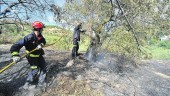 SEGURIDAD. Profesionales del Cuerpo de Bomberos de Jaén durante el incendio declarado en “Villa Pilar”, el 25 de agosto.