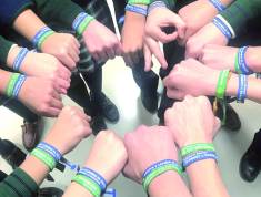 idcon=13147177;order=16 idcon=13147177;order=16