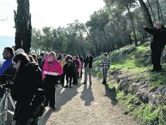 idcon=13065925;order=12 idcon=13065925;order=12