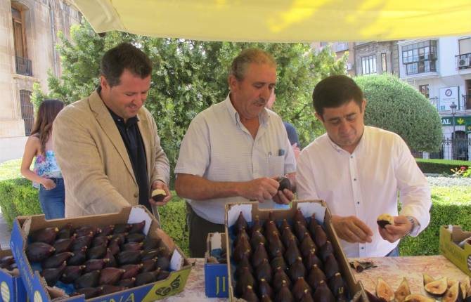 Presentación de la IV Muestra de la Breva de Jimena.